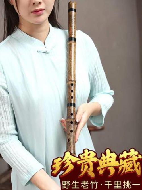 请问箫和笛子哪个好学一些
