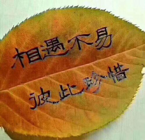 人不待我我不待人的意思
