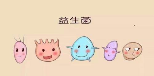 消化酶和益生菌的区别