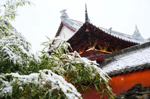 江乐明雪小说大结局