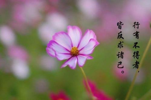 反求诸己上一句