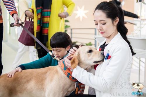 神犬小七4什么时候播