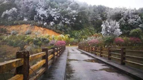 福建什么时候下雪