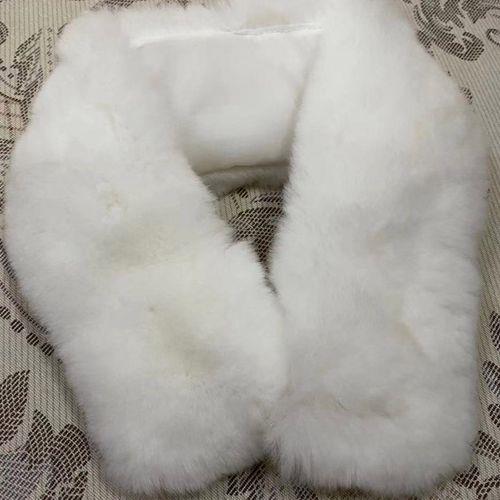 獭兔毛和兔皮毛的区别