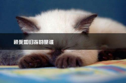 视死如归用形容哪些人