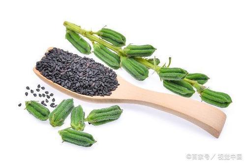 芝麻花晒干怎么吃