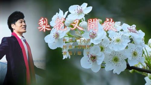 梨花又开放这首歌的原唱是谁