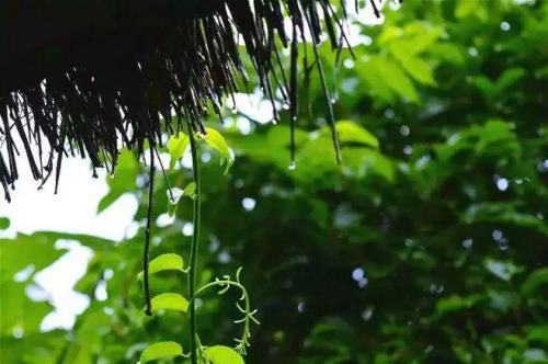 窗外的雨滴答文案