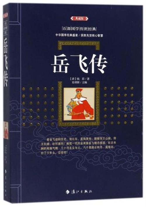 岳飞全部小说