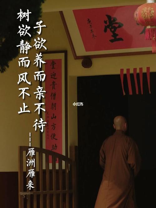 子欲养而亲不待男声原唱完整版
