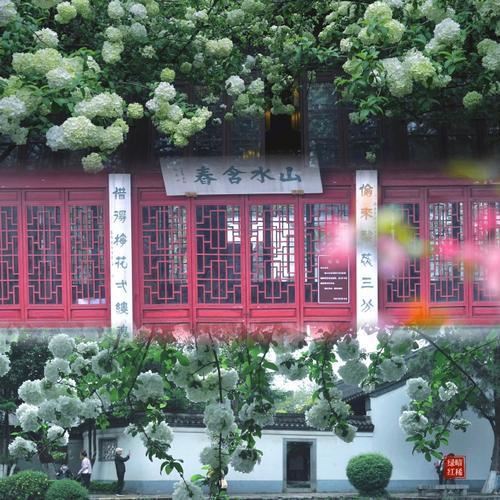 什么烟雨落金陵