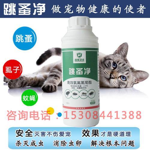怎样杀死跳蚤最有效