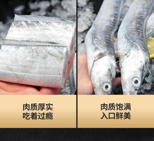 带鱼规格划分标准