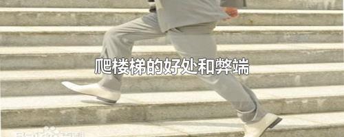 爬楼梯对身体有什么好处和坏处