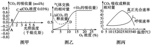 实际光合速率怎么算