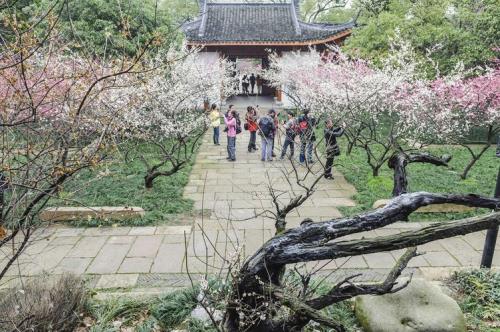 2023年超山梅花节开放时间