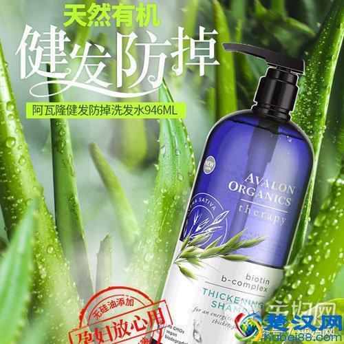 掉头发用哪种洗发水好