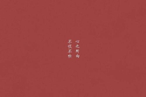 心之所向下一句是什么了