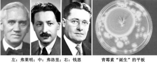 青霉素是怎么发明的