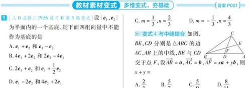 变式题什么意思
