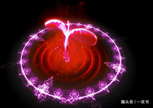 斗罗大陆中什么是炸环