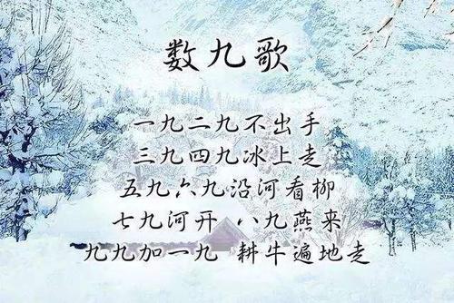 今天是三九第几天了