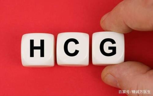 幼态生殖名词解释