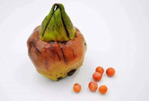 鸡头果怎么去壳