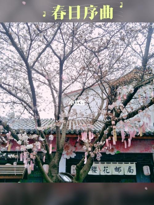 樱花头怎么获得