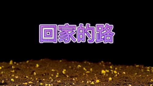 如果忘了回家的路歌名叫什么