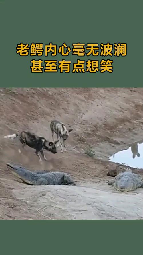 形容内心毫无波澜的句子