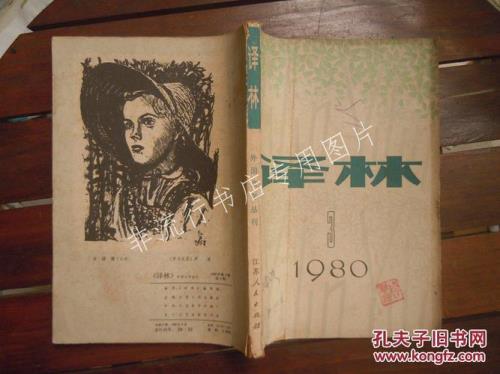 译林杂志适合什么人看