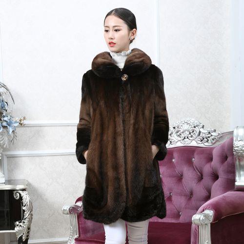 长毛貂怎么打理