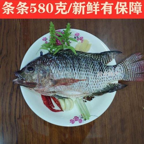 鱼现杀好还是提前杀好