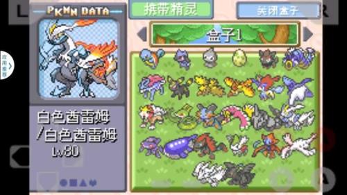 究极绿宝石雪暴马什么性格好