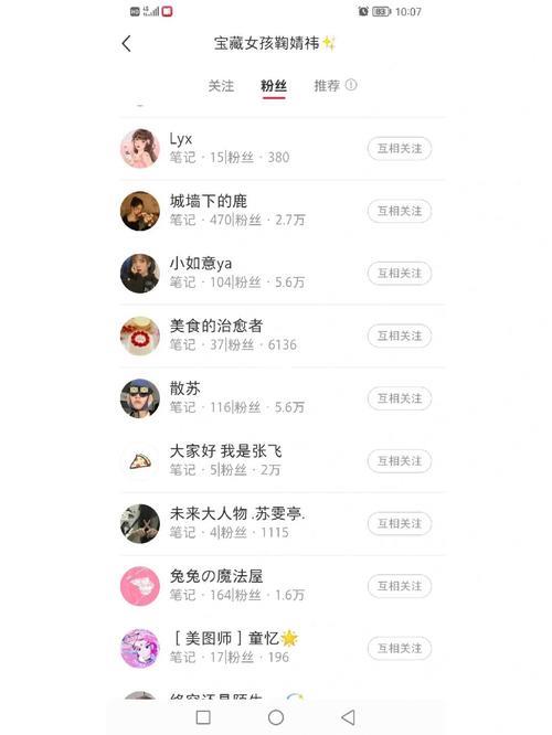 什么叫粉丝就是关注他的人吗