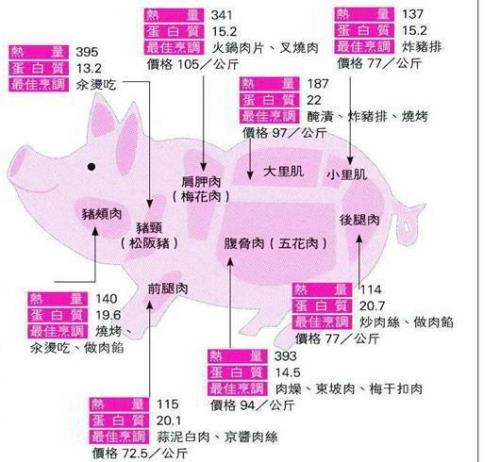 哪个部位的猪肉最好