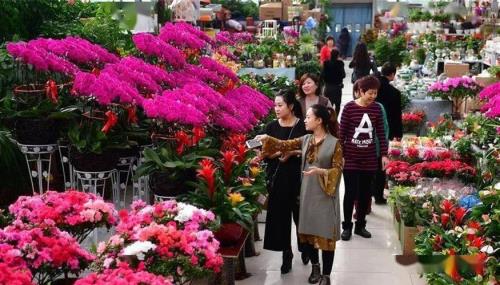 开平花卉市场营业时间