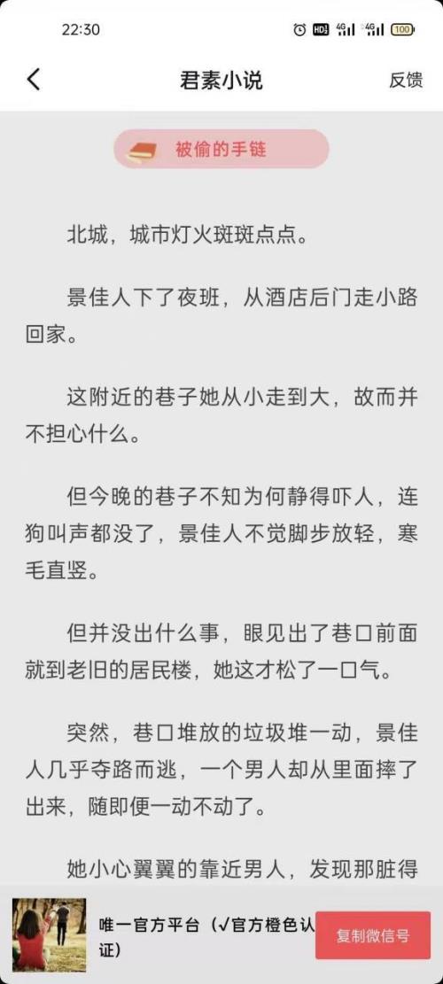 西门龙霆谁写的