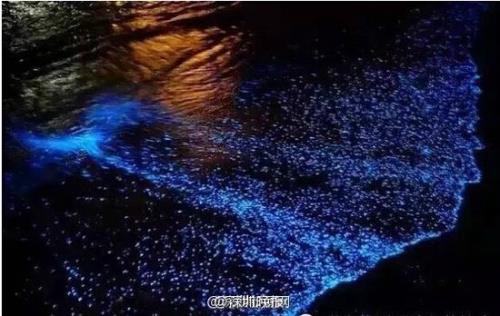 原神荧光海为什么没发光