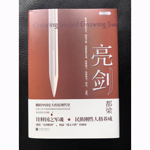 罗战穿越亮剑的小说