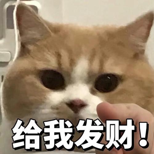 发财表情怎么打出来