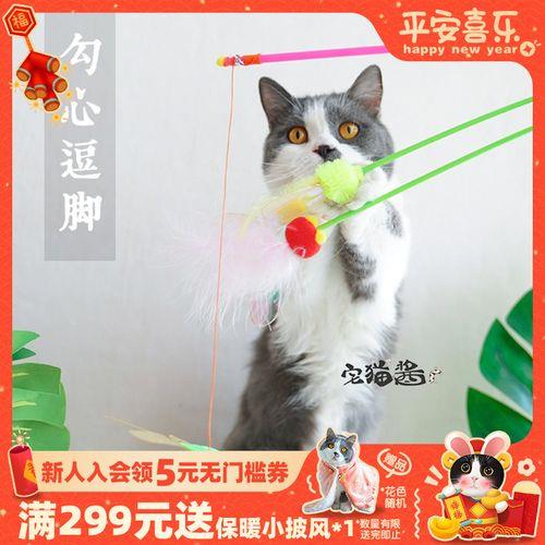 猫为什么喜欢玩逗猫棒