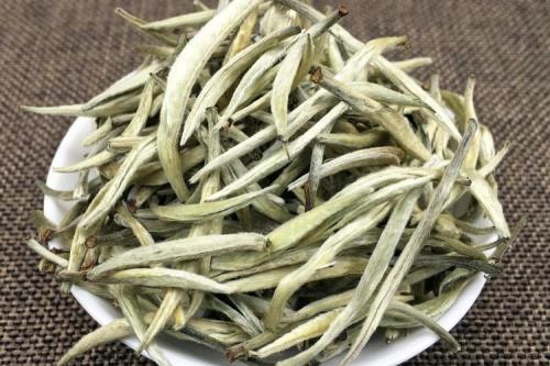 福建银针属于什么茶