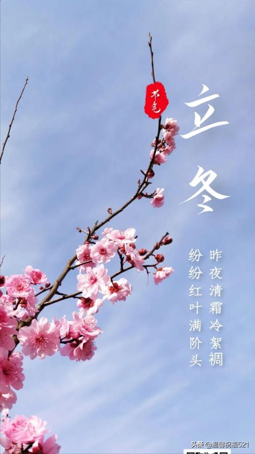 立冬官宣文案