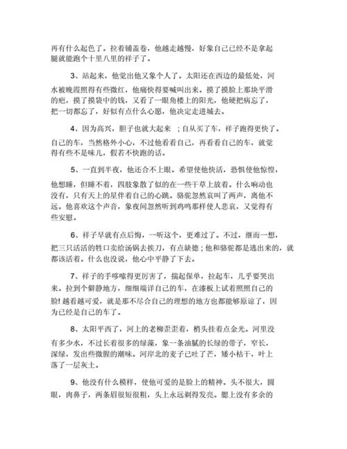 骆驼祥子中的感人句子