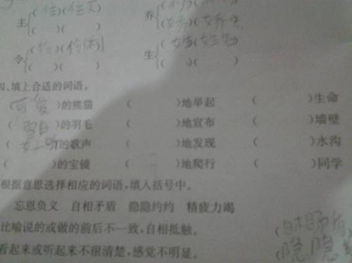 什么的硬翅填恰当的词语