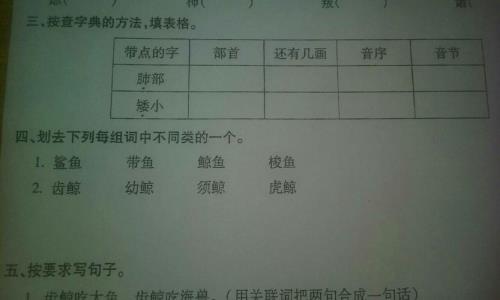 据的组词有哪些