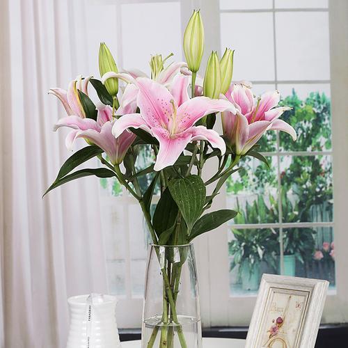 鲜花百合怎么保鲜长久点