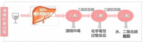 可不可以用酒来代替酒精